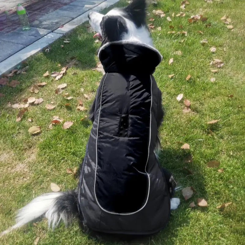 Reflective Warm Dog Jacket for Large Dogs
